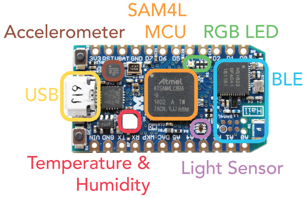 Hail Development Module Labeled